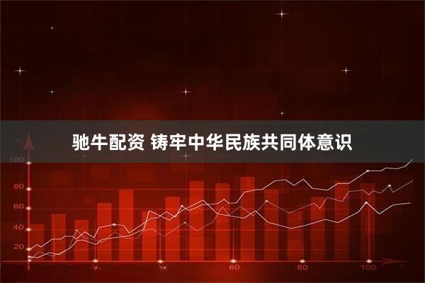 驰牛配资 铸牢中华民族共同体意识