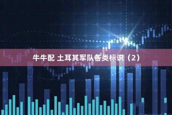 牛牛配 土耳其军队各类标识（2）