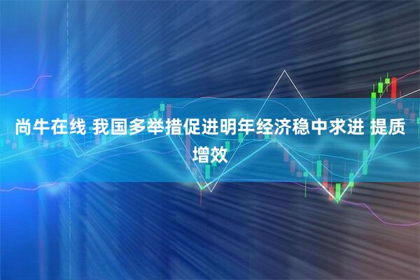 尚牛在线 我国多举措促进明年经济稳中求进 提质增效